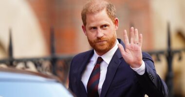 Prince Harry 'wants to bring his children back to the UK'