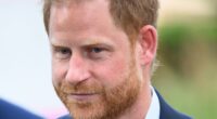 Prince Harry will NEVER be allowed to return as a 'half-in, half-out' working royal - and claims he could help ease William's workload are 'wide of the mark'
