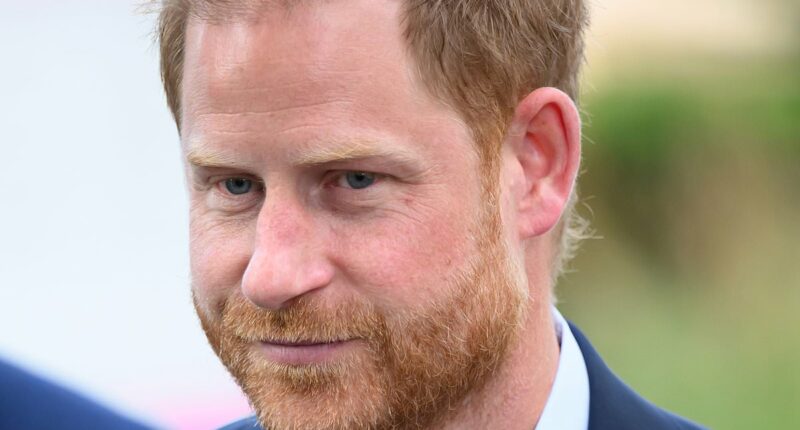 Prince Harry will NEVER be allowed to return as a 'half-in, half-out' working royal - and claims he could help ease William's workload are 'wide of the mark'