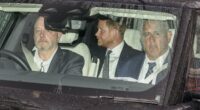 Prince Harry's fury over Charles meeting claims