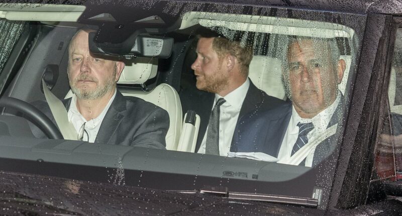 Prince Harry's fury over Charles meeting claims