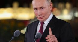 Russian President Vladimir Putin has warned peacekeepers would be legitimate targets in Ukraine.