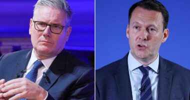 RUSSELL FINDLAY: Zombie idea is a desperate bid to distract from chaos