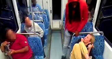 Random blue city stabbing death fuels new bail bill as ‘activists’ ripped for lack of crime crackdown: expert