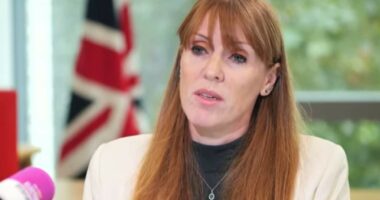 Rayner admits she DIDN'T pay enough stamp duty on new seaside flat