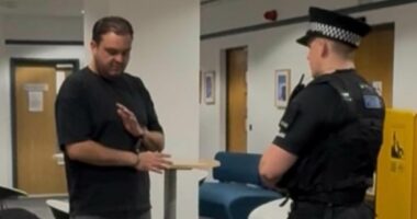 Reform councillor is arrested on suspicion of stalking and harassment