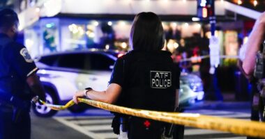 Report: 14K federal workers, including USCIS, assisting ICE