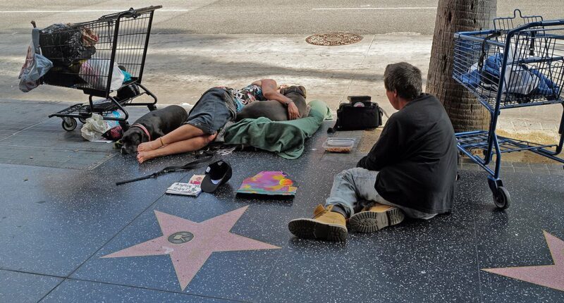 Report: LA is dying as Hollywood businesses say tourism has cratered