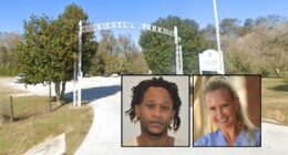Retired professor murdered while walking dog in popular park