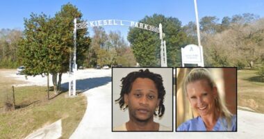 Retired professor murdered while walking dog in popular park