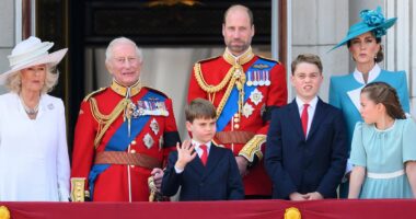 Revealed: Brits' biggest obsessions... from Prince Harry and William's feud to a pint at the pub
