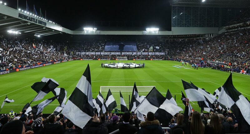 Revealed - The delays holding up Newcastle's new stadium, why new badge WON'T appear next season, how club are closing in on Barcelona touts and major injury boost for Wolves visit: Newcastle Confidential