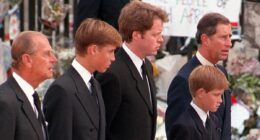 Revealed: The 'furious' family member of Prince William and Harry who 'raised hell' to try and stop the young Royals from walking behind Princess Diana's coffin