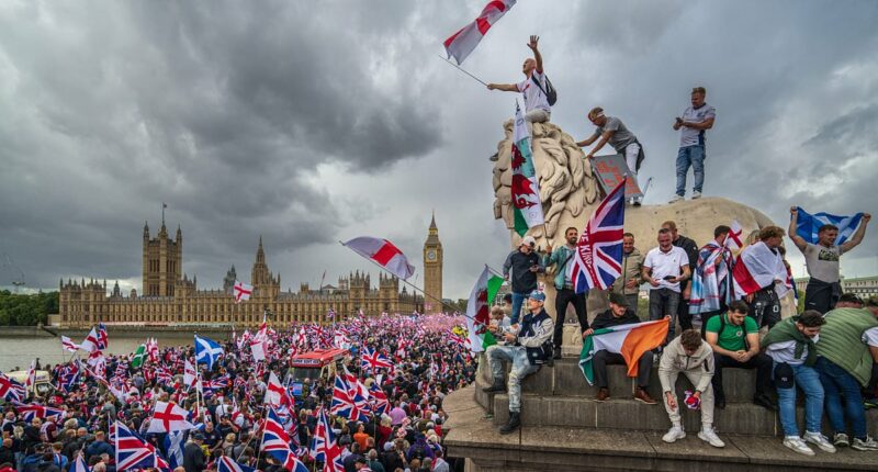 Right-wing rally had less than HALF the arrest rate of Notting Hill