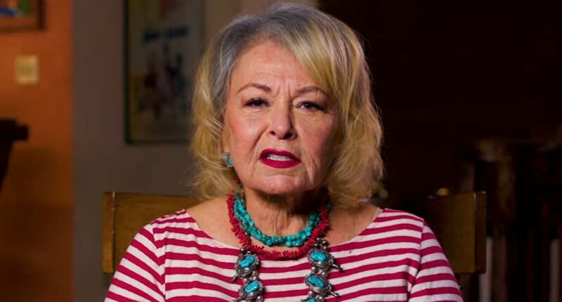 Roseanne Barr calls Howard Stern a 'shill' in savage takedown