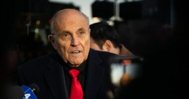 Rudy Giuliani out of hospital after car crash, son says