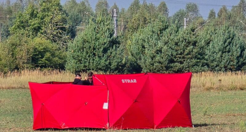 Russian drones breach Polish airspace, shot down by NATO