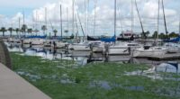 Sanford poised to approve contract to start marina repairs 3 years after Hurricane Ian