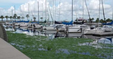 Sanford poised to approve contract to start marina repairs 3 years after Hurricane Ian