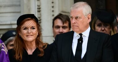 Sarah Ferguson will 'play victim', royal biographer says