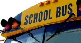 School bus driver arrested, Edgefield County School District confirms