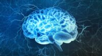Scientists find musical link to boosting brain function for life