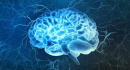 Scientists find musical link to boosting brain function for life