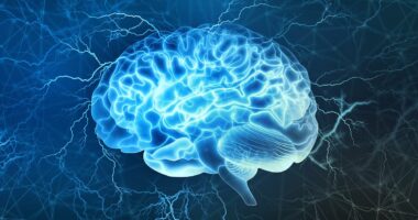 Scientists find musical link to boosting brain function for life