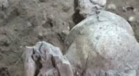 Scientists find world's oldest mummies