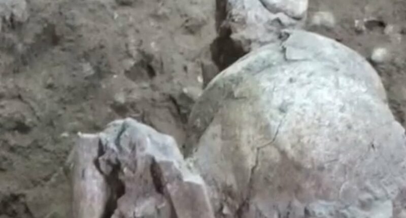 Scientists find world's oldest mummies