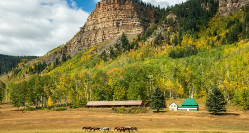 Search continues for hunters who went missing in Colorado wilderness