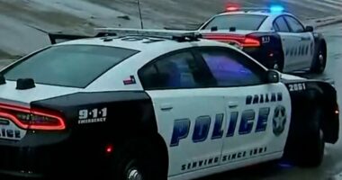 Second ICE detainee dies after Dallas facility shooting