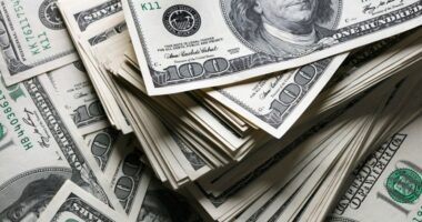 Secretary of State announces $28 million for IL libraries, literacy programs