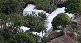Selena Gomez and Benny Blanco's wedding preparations pictured