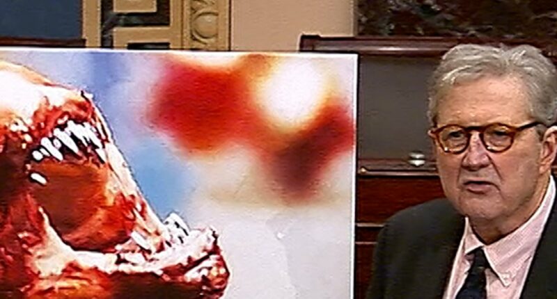 Senator makes ‘alien’ claims about radioactive shrimp