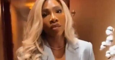 Serena Williams's cotton sculpture revealed after hotel plant incident