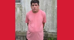 Sex offender David Binz arrested in Jacksonville
