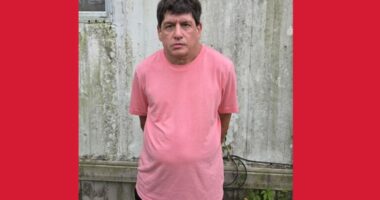 Sex offender David Binz arrested in Jacksonville