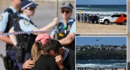 Shark kills beachgoer in attack at Sydney beach, authorities say