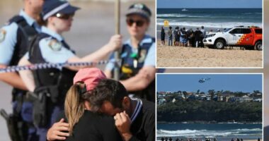 Shark kills beachgoer in attack at Sydney beach, authorities say