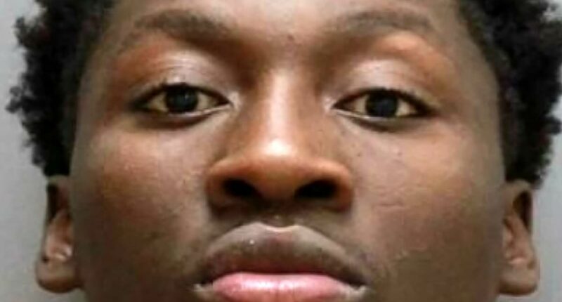 Sheriff admits he's released 'very dangerous inmate' into the public