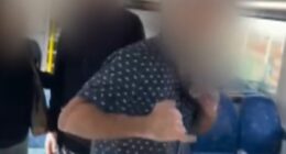 Shocking moment commuters are confronted by strangers in racial attack
