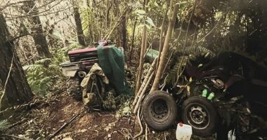 New photos have emerged of the remote campsite where police discovered Tom Phillips' children hours after the New Zealand fugitive was shot dead by police