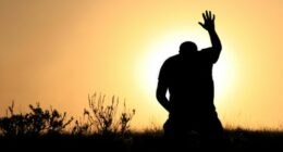 A man lifts his hand towards heaven. Silhouette, rear view, unrecognizable person. Additional themes include salvation, god, praise and worship, holiness, righteousness, faith, sin, forgiveness, gratitude, meditation, prayer, self, asking, pleading, hope, heaven, healing, spirituality, balance, religious, and Christianity.