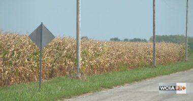 Some burn bans lifted in Central IL, but fire chief still urging caution