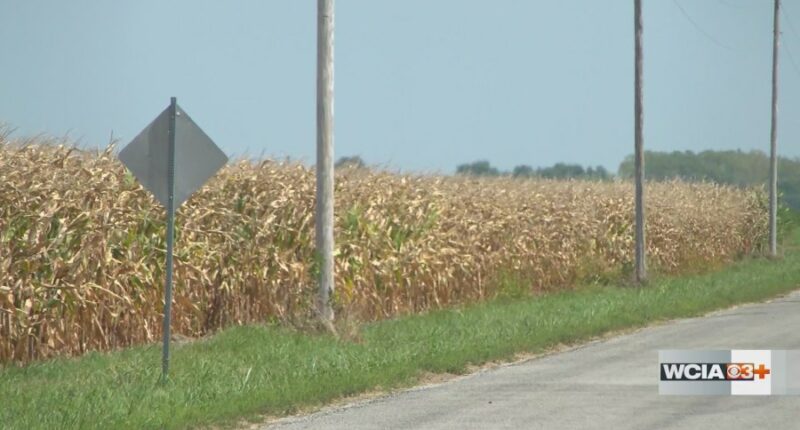 Some burn bans lifted in Central IL, but fire chief still urging caution