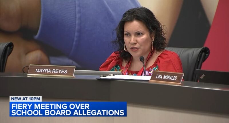Some seek East Aurora School District 131 Board member Mayra Reyes' resignation over alleged racially insensitive comments