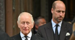 Someone is trying to drive a wedge between Charles and William