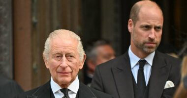 Someone is trying to drive a wedge between Charles and William