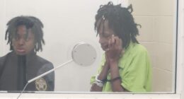 South Carolina woman accused in death of baby left in hot car released from jail on bond